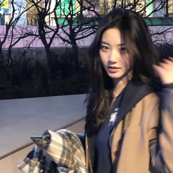 圣诞梦美人