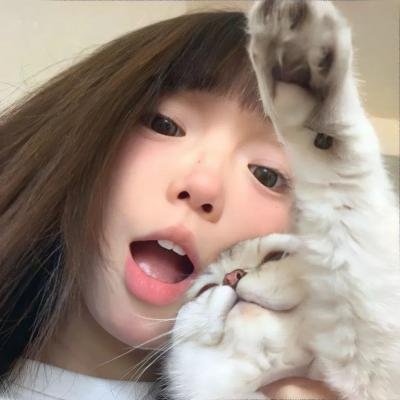养狗与猫每天都很开心